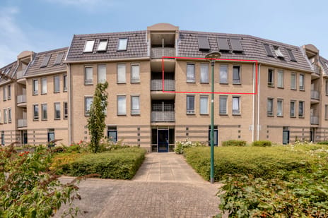 undefined main image