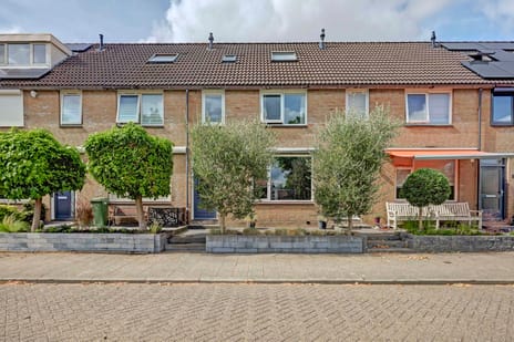 undefined main image