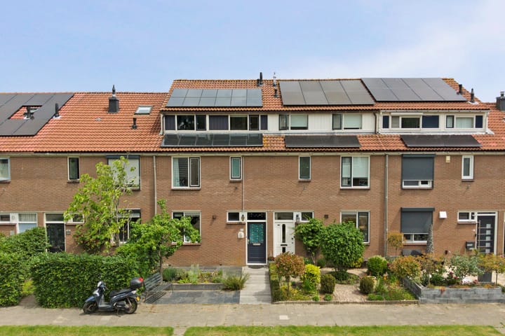 Boomgaard 43 main image