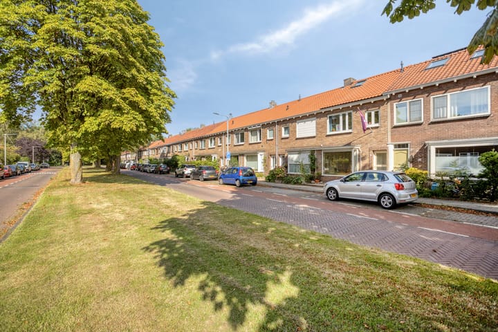 Wilgenlaan 53 main image