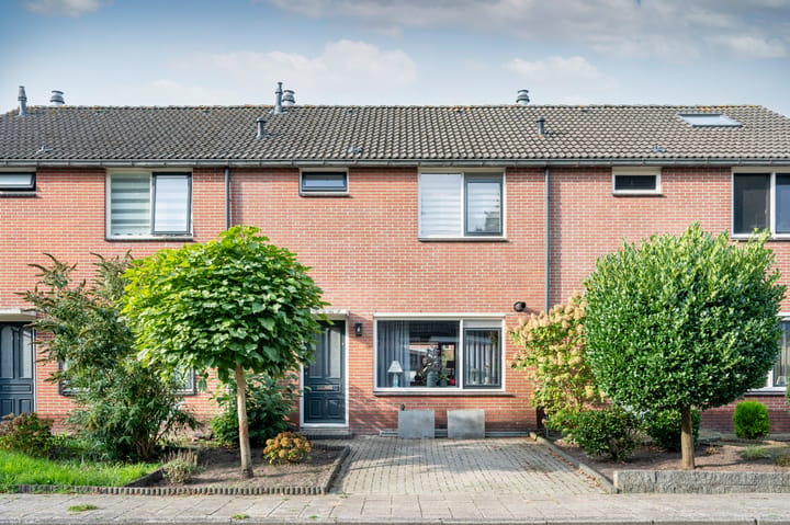 De Koare 20 main image