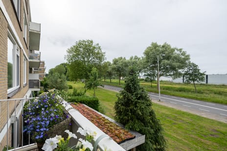 Cederstraat 157 secondary image