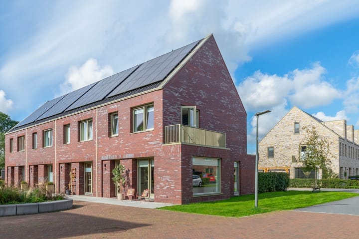 Pijlkruid 15 main image