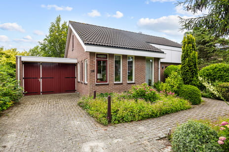undefined main image