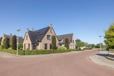 Afbeelding van Klaproos 1 - Tweede foto