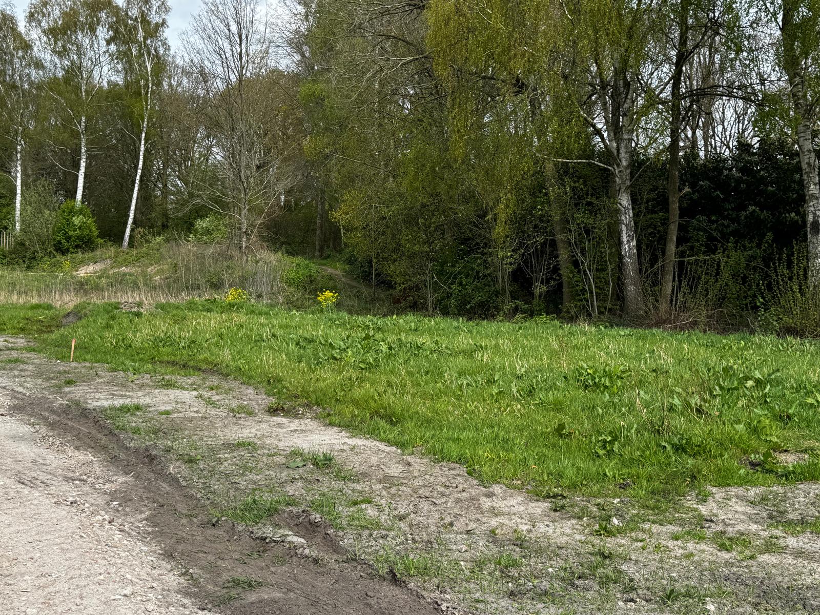Photo 15 of De Gloep-fase 2  -  EENGEZINSWONINGEN - 2/1-KAP & 4/1-KAP
