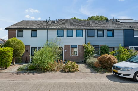 undefined main image