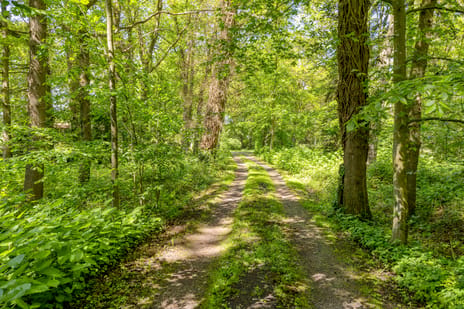 Rutbekerveldweg 50 tertiary image