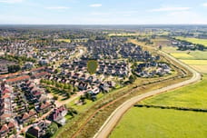 Afbeelding van Fluitekruid 19 - Tweede foto