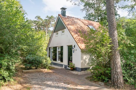 De Witte Bergen 45 main image