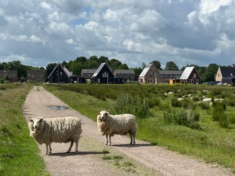 Hotze de Roosstrjitte 7 secondary image