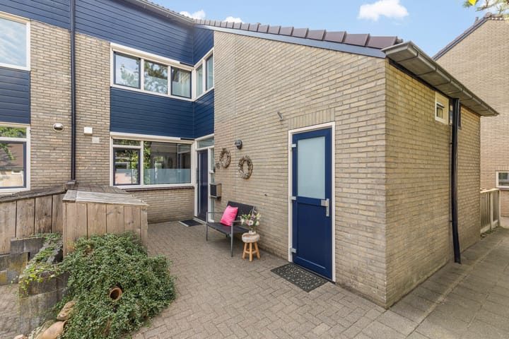Hondsdraf 16 main image