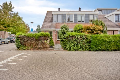 undefined main image
