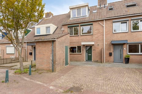 Zeehondenplaat 9 main image