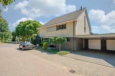 Afbeelding van Vingerhoedskruid 56 - Tweede foto
