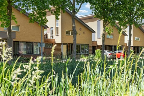Rijstegoed 67 tertiary image