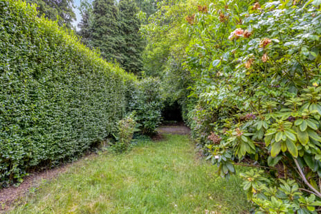 Hintham 113 secondary image