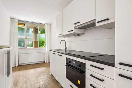 Arthur van Schendelstraat 725 tertiary image