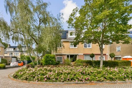 Koningsvaren 123
