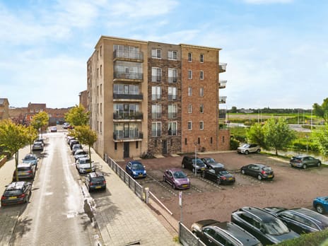 Witte Ring 9-D main image