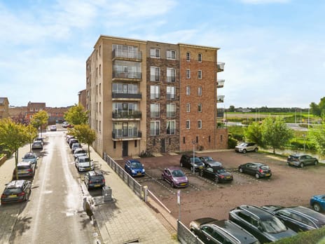 Witte Ring 9-D main image