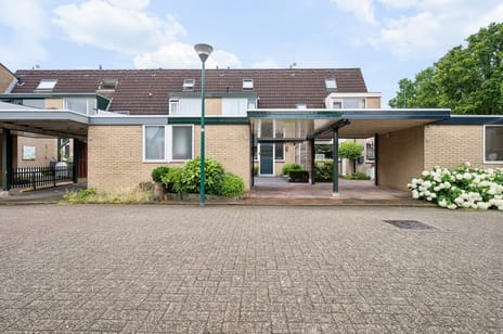undefined main image