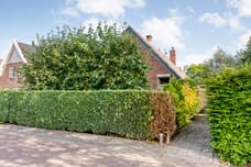 Afbeelding van Sionserf 12 - Derde foto
