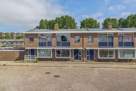 undefined main image