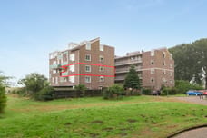 Image of Terpmeent 12 - Second image