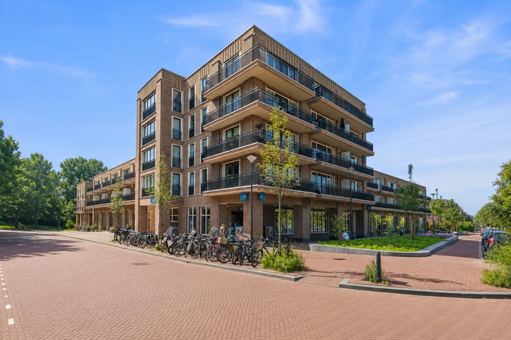 Thomas Mannsingel 18-A main image