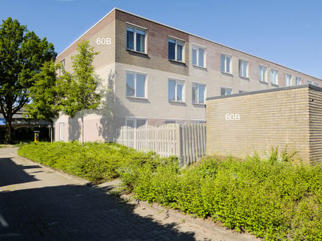 Hoge Bothofstraat 60-B tertiary image