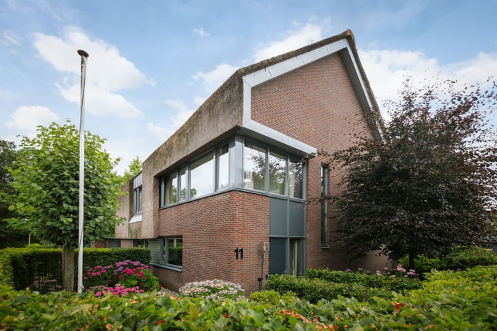 Ridderinkhof 11 main image