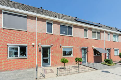 undefined main image