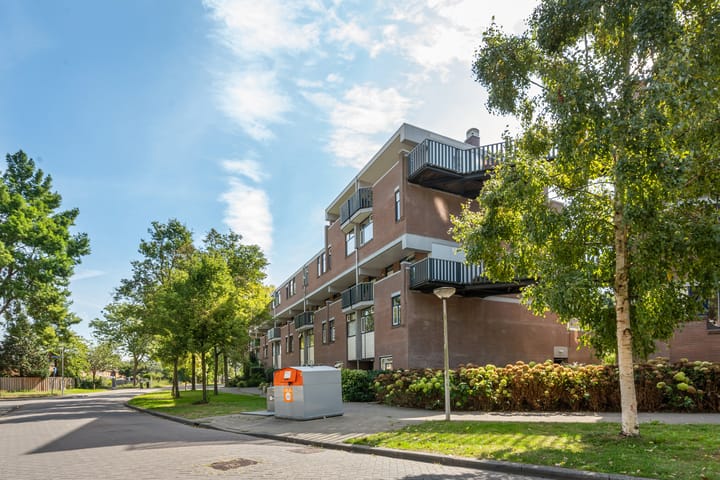 Hollandsch Diep 181 main image