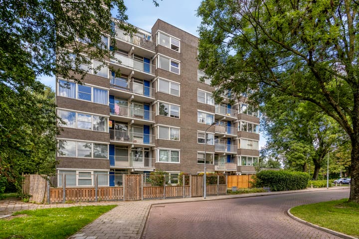 Graan voor Visch 17247 main image