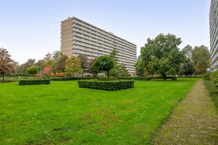 Frederik van Eedenplaats 309 main image