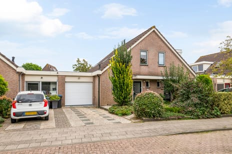 Paulus Potterstraat 46 main image