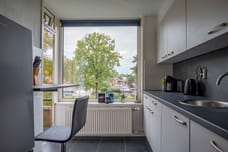 Afbeelding van Antonie van Leeuwenhoeklaan 163 - Derde foto