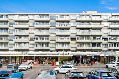 Prins Frederiklaan 293 main image