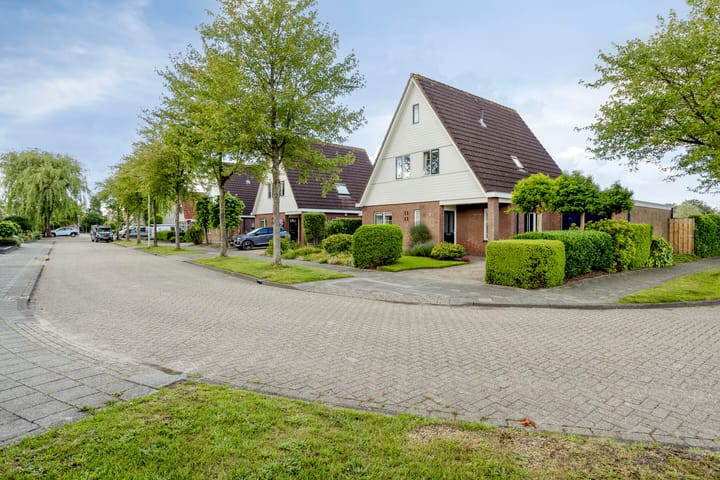 Lichte 16 main image