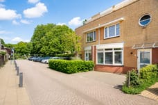 Afbeelding van Rozemarijn 3 - Tweede foto