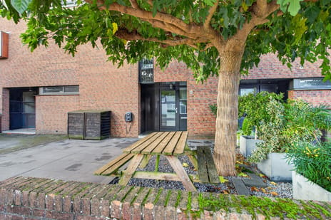 Afbeelding van Priemkruid 83 - Tweede foto