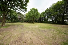 Image of Domeinenweg 4 - Third image
