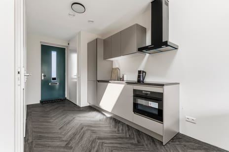 Baarsakker 25 tertiary image