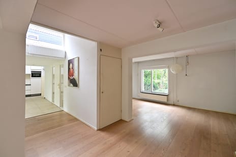 Afbeelding van Ree 24 - Derde foto
