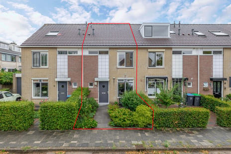 undefined main image