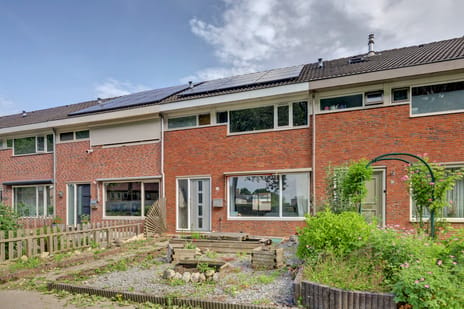 undefined main image
