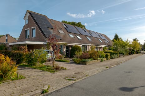 Afbeelding van Pinksterbloem 30 - Derde foto