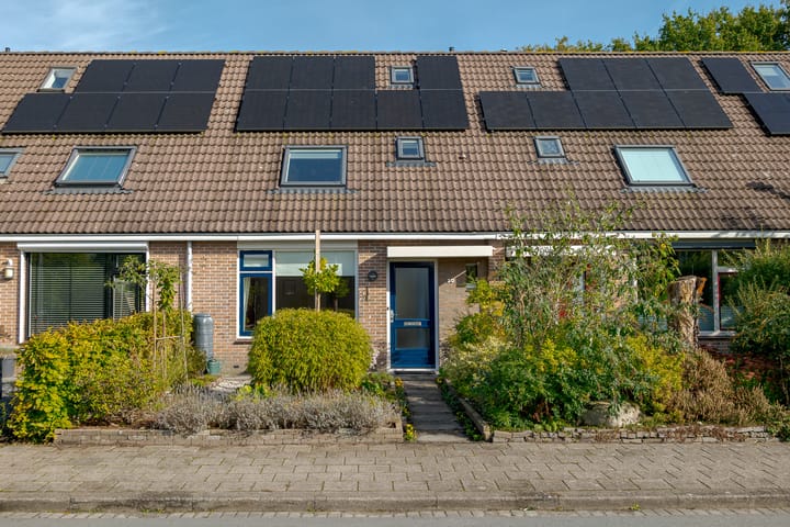 Pinksterbloem 30 main image