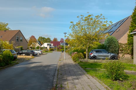 Afbeelding van Pinksterbloem 30 - Tweede foto